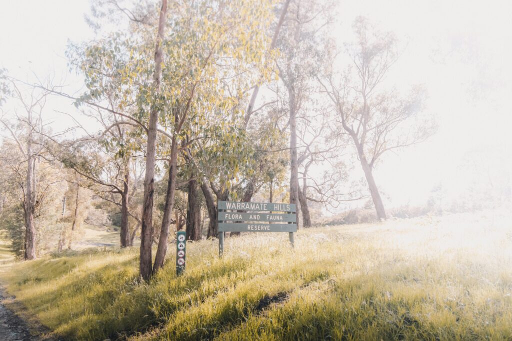 pexels-photo-10022604-10022604 Explore the serene landscape of Warramate Hills Flora and Fauna Reserve with lush greenery and sunlight.