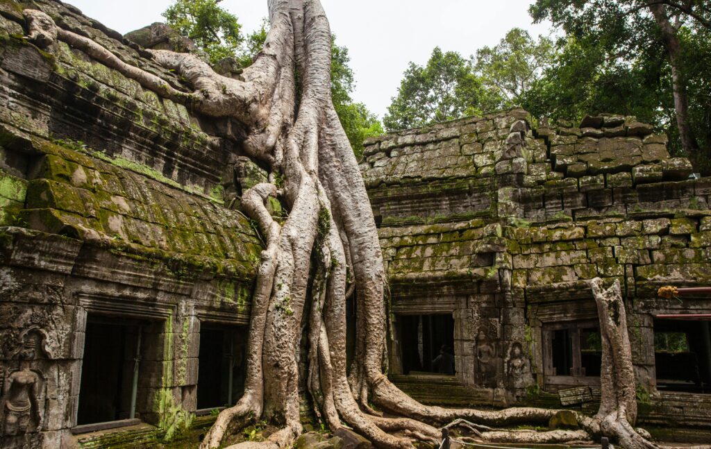 pexels-photo-1089302-1089302 Ancient Ta Prohm temple with massive tree roots in Siem Reap, Cambodia.