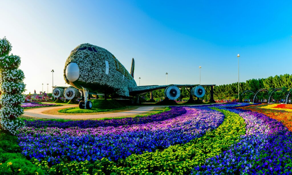 pexels-photo-14100885-14100885 Vibrant floral Airbus A380 installation at Dubai Miracle Garden, surrounded by colorful flowers and lush landscape.