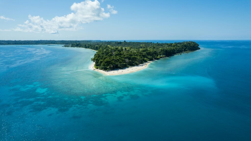 pexels-photo-14313849-14313849 Stunning drone view of Kadamtala Island with clear blue waters and lush greenery in India.