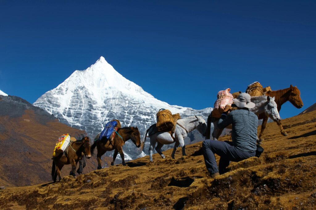 pexels-photo-14673238-14673238 A hiker with pack horses traverses the rugged terrain against a backdrop of a snowy mountain peak in Bhutan.