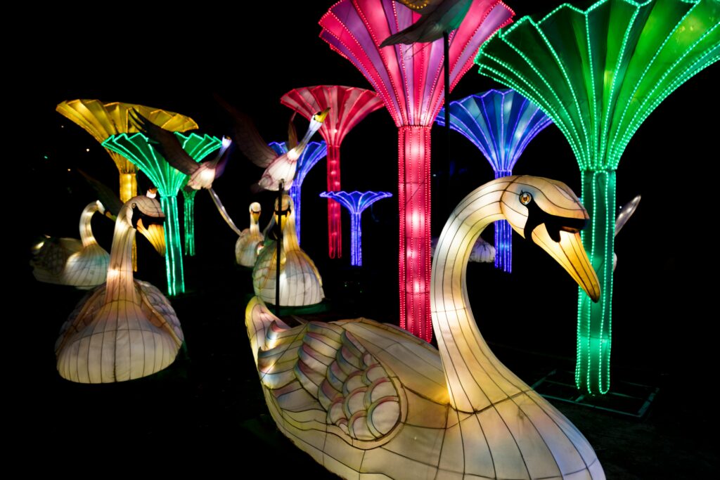 pexels-photo-16229788-16229788 Colorful illuminated swan sculptures at Dubai Garden Glow, UAE, creating a magical fantasy atmosphere at night.