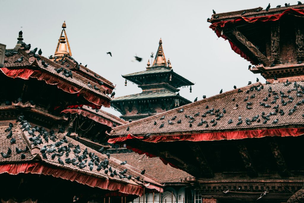 pexels-photo-2104882-2104882 Pigeons on traditional pagoda rooftops in cultural Kathmandu, Nepal.