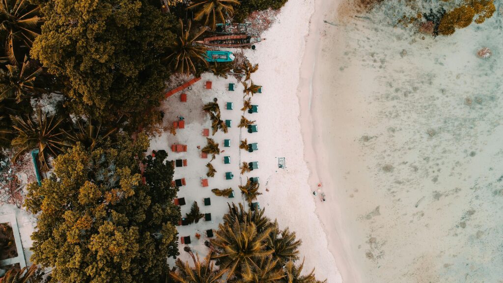 pexels-photo-2403207-2403207 Aerial view of a tropical beach with sun loungers, palm trees, and white sand in the Andaman Islands.