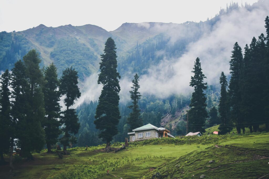 pexels-photo-2439787-2439787 A serene foggy landscape showcasing a house surrounded by lush trees and mountains in Sonamarg.