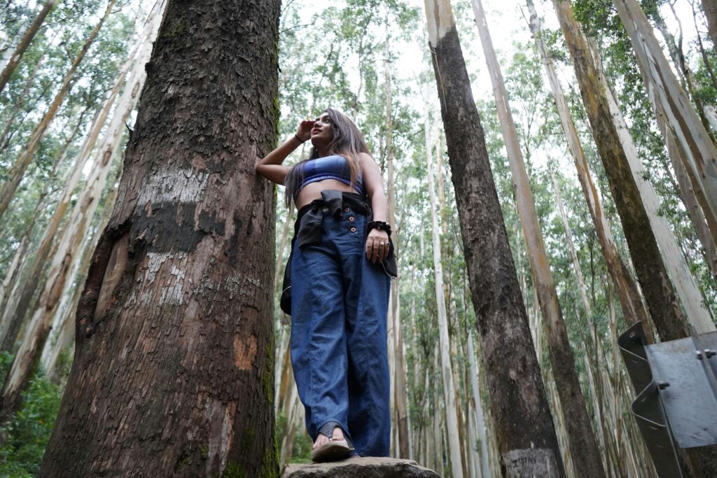 pexels-photo-29151123-29151123 A young South Asian woman explores a lush eucalyptus forest in Ooty, India, standing confidently on a rock.