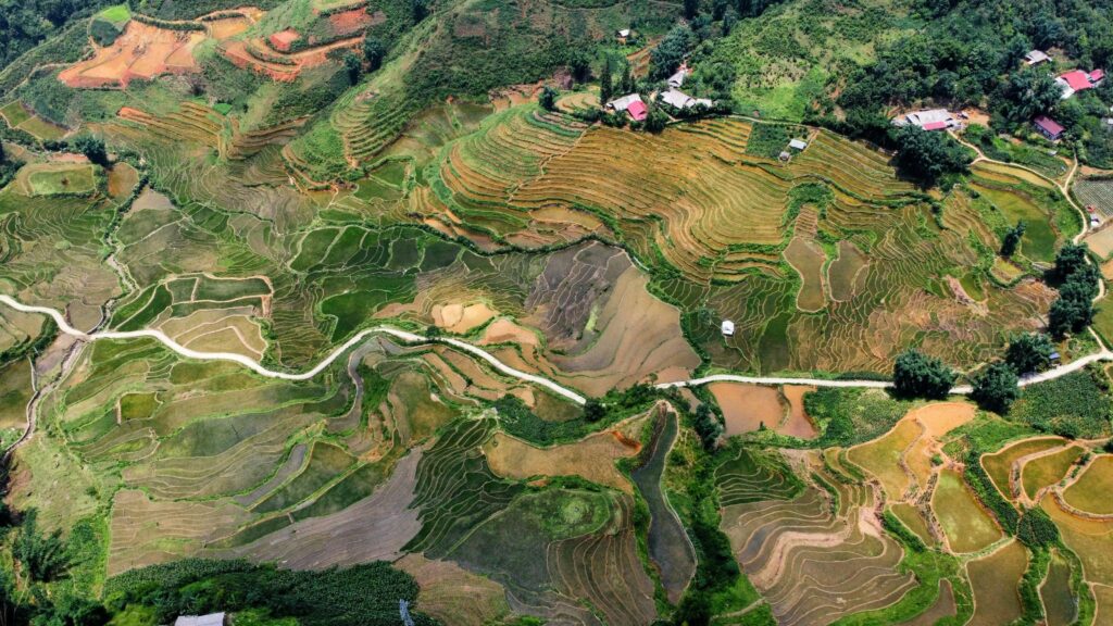 pexels-photo-30233760-30233760 Vietnam's Stunning Terraced Fields