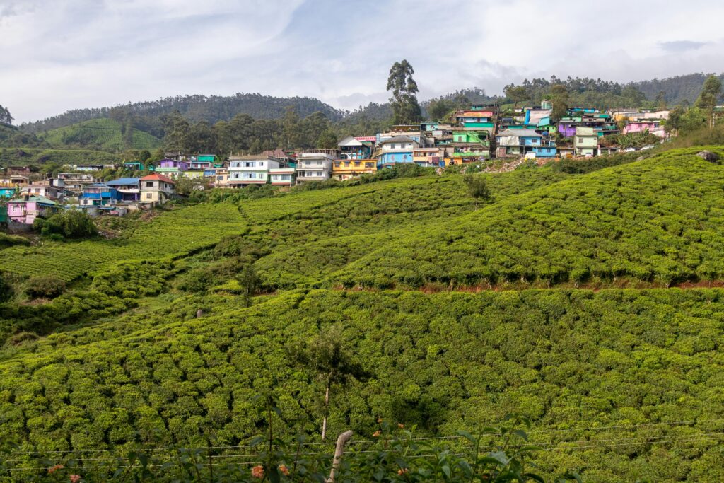 pexels-photo-3714923-3714923 Vibrant houses line the lush green tea plantation hills in Munnar, India under a cloudy sky.