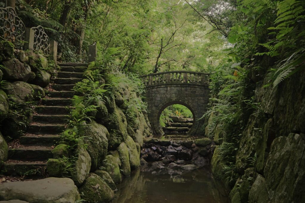 pexels-photo-5722823-5722823 A scenic stone bridge crossing a creek in a lush green forest.